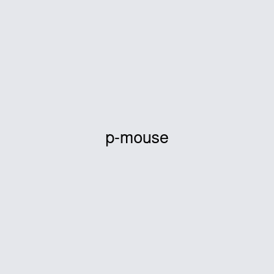 Wireless Gaming Mouse